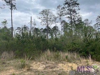 TBD Lot B Teal McDaniel Rd, Pine Grove, LA 70453