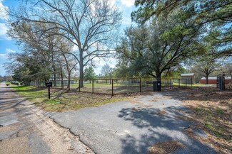 1667 Vz County Road 4413, Ben Wheeler, TX 75754