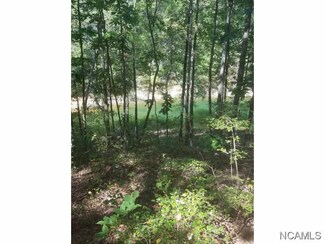Lot 5 Blue Water Pointe Dr, Jasper, AL 35504