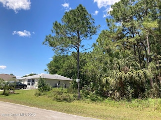 355 Danis Rd SW, Palm Bay, FL 32908