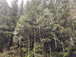 273 XS Old Pipeline Rd, Monroe, WA 98272