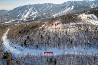 Lot 17 Garnet Way, Newry, ME 04261