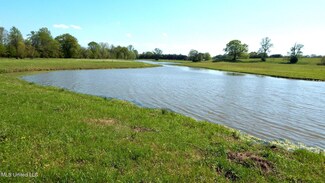 1050 Egypt Creek Rd, Sarah, MS 38665