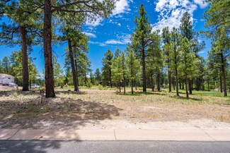 1999 E Iron Horse Ct Unit 250, Flagstaff, AZ 86005