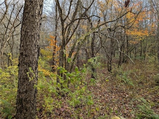 0 Ryan Rd, Williamstown, NY 13493