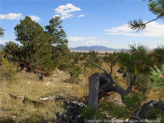 396 Souix Trail, Hartsel, CO 80449
