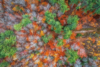 590 Howard Hill Rd, Landgrove, VT 05148