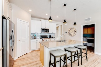 717 Winterberry Ln, Waconia, MN 55387