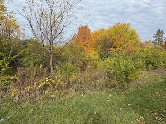 179 Collins Ave, Benton Harbor, MI 49022