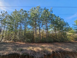 NHN Parcel 4 Redfish Rd, Poplarville, MS 39470