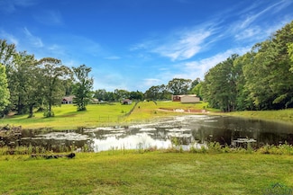 14384 County Road 2125, Lake Cherokee, TX 75652
