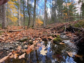00 Lowell & Stevens Rd, Carroll Plantation, ME 04487