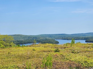 2 Whispering Berries Hill, Liberty, ME 04949