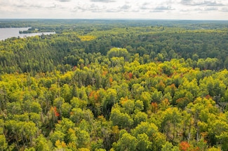 TBD N White Iron Rd, Morse Township, MN 55731