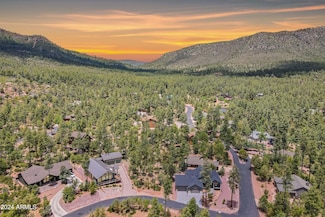 4020 W Forest Ct Unit 71, Pine, AZ 85544