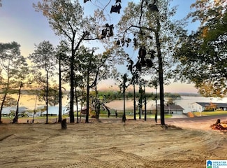 1169 Lakemont Dr N Unit 30 & 31, Southside, AL 35907