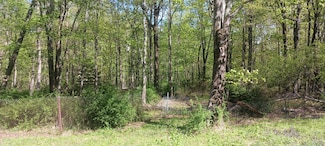 719 Toll Rd, Effort, PA 18330