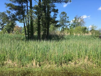 Lot 236 Pine Tree Way Unit 236, Chincoteague, VA 23336