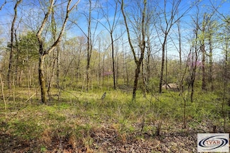 0 Melton Springs Rd, Big Rock, TN 37023