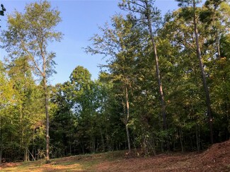 0 Lee Road 188 Unit 142498, Waverly, AL 36879