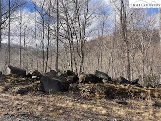 TBD Overlook Ln, Todd, NC 28684