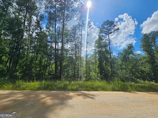 2.8 AC Bear Creek Point, Mansfield, GA 30055