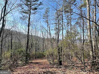 546 Matterhorn Dr, Sautee Nacoochee, GA 30571