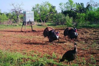 161 Craven Rd, Quanah, TX 79252
