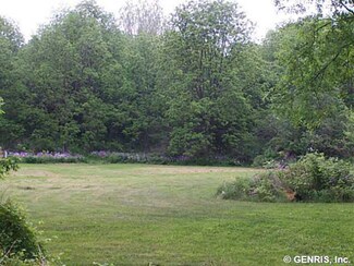 4026 Satterly Hill Rd, Burdett, NY 14818