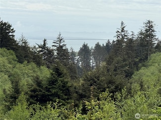34 Discovery Ct, Ilwaco, WA 98624