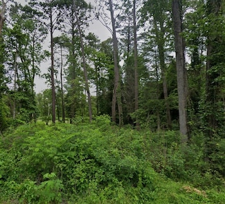 Lot 7 White Oak Dr, South Toledo Bend, TX 75932