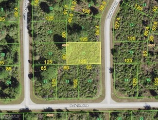 10047 Duquesne St, South Gulf Cove, FL 33981