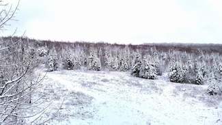 0 Walkerville Rd, Brandon, NY 12966