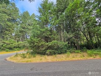 9325 123rd Ave, Anderson Island, WA 98303