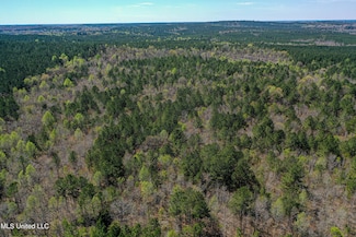 0 Plattsburg-Mt Calvary Rd, Noxapater, MS 39346