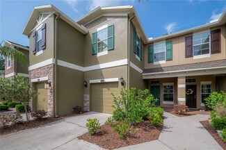 12428 Streamdale Dr, Tampa, FL 33626