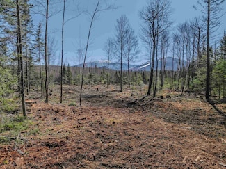 000 Easton Rd, Franconia, NH 03580