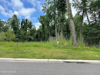 208 Preservation Point Ave, Wilmington, NC 28401