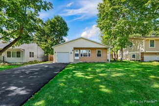 1417 Adams St, Lake In the Hills, IL 60156
