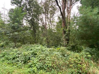 1808 Birchwood Ave, Stevens Point, WI 54482