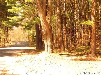 Lot 5 Dixon Rd N, Vienna, NY 13123
