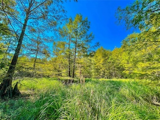 0000 Hickman Rd, South Toledo Bend, TX 75932