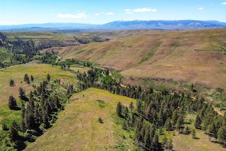 TBD Fall Creek Rd, Council, ID 83612
