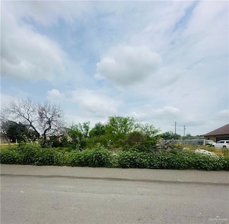 0 N La Paloma St, La Grulla, TX 78582