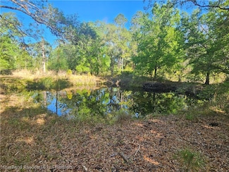 1631 Dozier Ave, Sebring, FL 33875