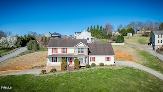 137 Austin Ridge Ct, Johnson City, TN 37615
