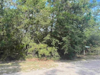 32591 Middlecoff Dr, Brookeland, TX 75931