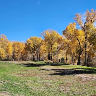 113 Grand Ave, Mancos, CO 81328