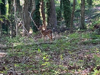 1 E McGee St, Honea Path, SC 29654