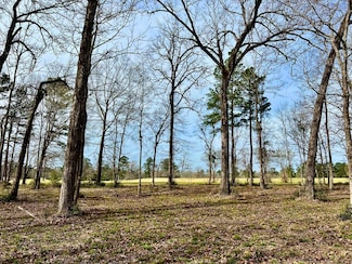 3.48 Acres Robert Williams, Diboll, TX 75941